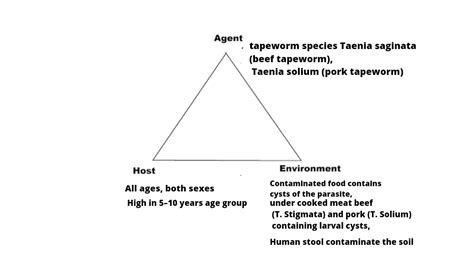 Taeniasis - Causes, Mode of Transmission, Symptoms, and Treatment