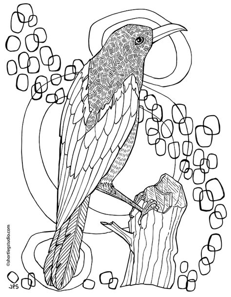 New Magpie Coloring Page — Short Leg Studio