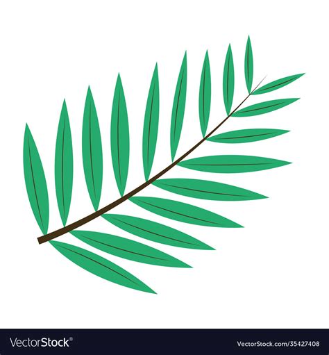 Pinnate leaf plant flat style Royalty Free Vector Image