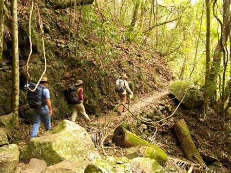 Camping | Gold Coast Hinterland Great Walk | Parks and forests | Department of Environment ...