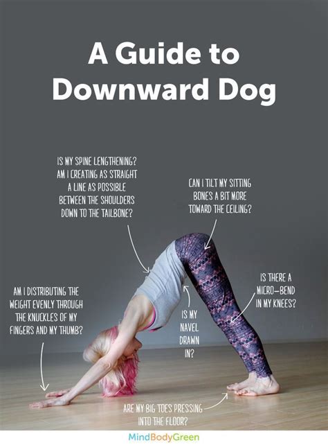 Yoga App Down Dog | Yoga DE