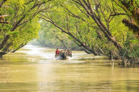 Best Time To Visit Sundarbans National Park (Sundarbans) In 2024 - 2025