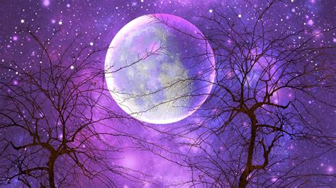 Purple Moon Wallpapers on WallpaperDog