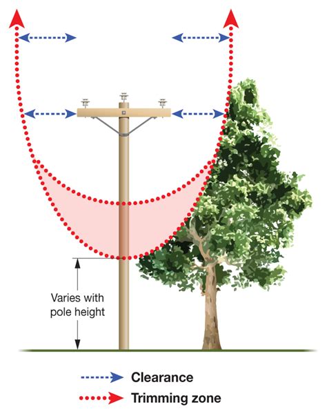 Trimming Zones | Hydro Ottawa