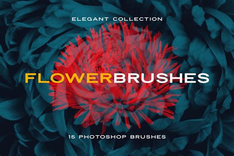 Elegant Flower Brushes for Photoshop - FilterGrade