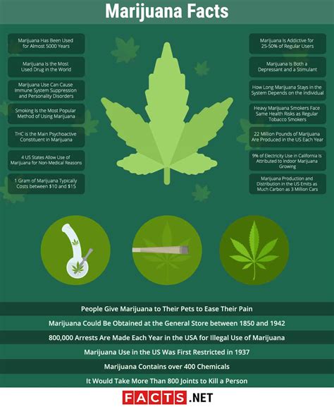 Marijuana Facts: Types, Benefits, Side Effects & More - Facts.net