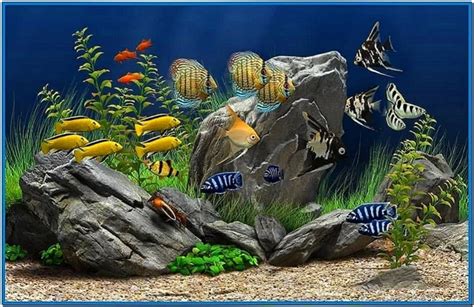 Real Fish Aquarium Screensaver - Download-Screensavers.biz