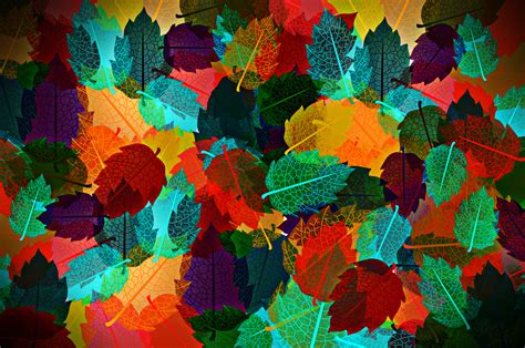 Free photo: Colorful autumn leaves pattern - Abstract, Plant, Seamlessly - Free Download - Jooinn