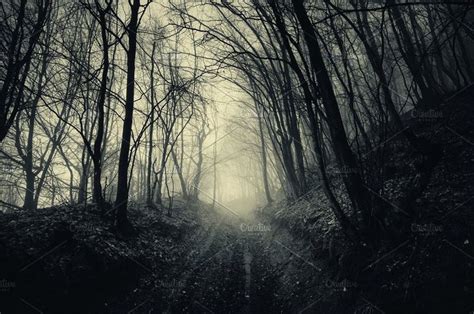 Path through haunted dark forest | Fantasy forest, Dark forest, Forest background