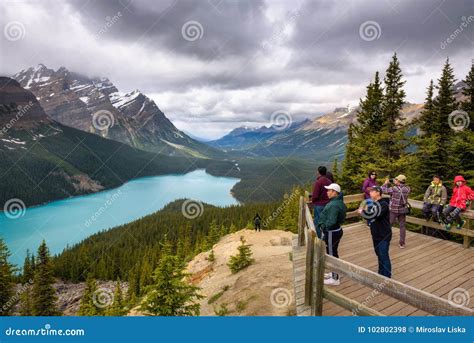 Tourists at the Peyto Lake in Banff National Park Editorial Stock Photo ...