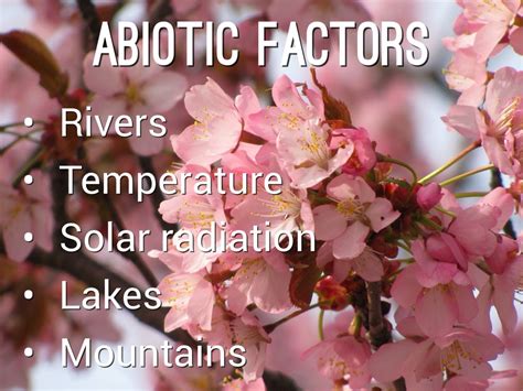 Abiotic and Biotic Factors - boreal forest biome