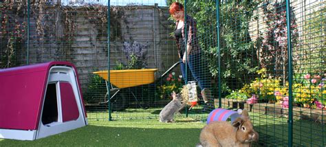 Outdoor Rabbit Run | Large Outdoor Rabbit Enclosure | Omlet