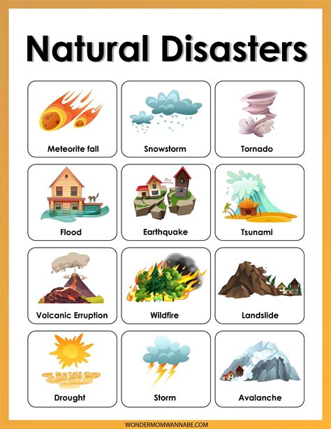 Natural Disasters Activity Set