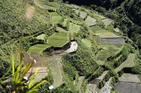 Learn more about the recent effort to restore the Rice Terraces in the Philippines! | Baguio ...