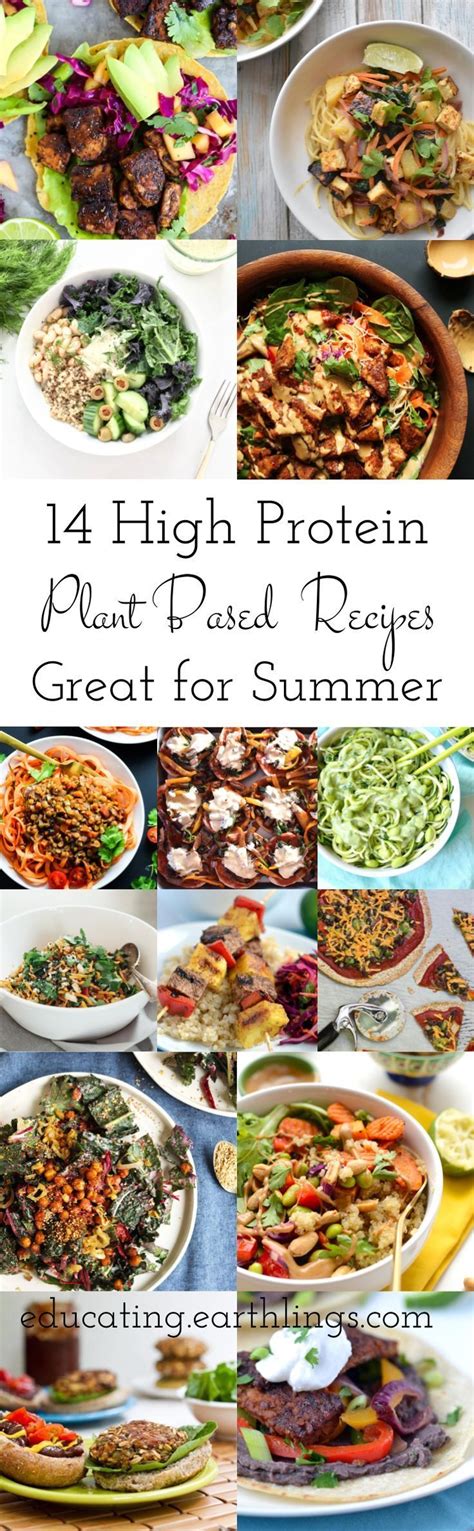 14 High Protein Plant Based Recipes • Educating Earthlings | Whole food recipes, Vegetarian ...