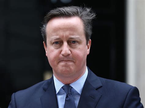 Why did David Cameron decide to hold the EU referendum? | The Independent