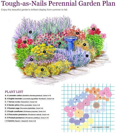 perennial garden plan | Perennial garden plans, Flower garden plans, English garden design