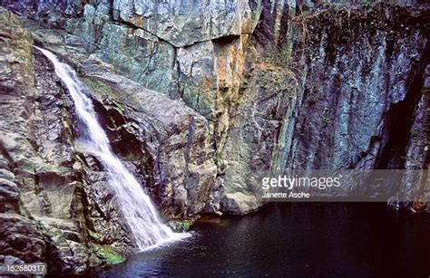 Conondale National Park Photos and Premium High Res Pictures - Getty Images