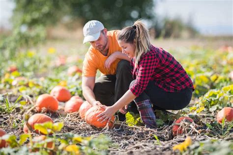 12 Best Pumpkin Patches in Maine | New England With Love