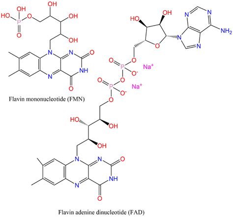 Flavin Mononucleotide