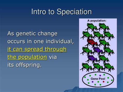 PPT - Process of Speciation PowerPoint Presentation, free download - ID ...