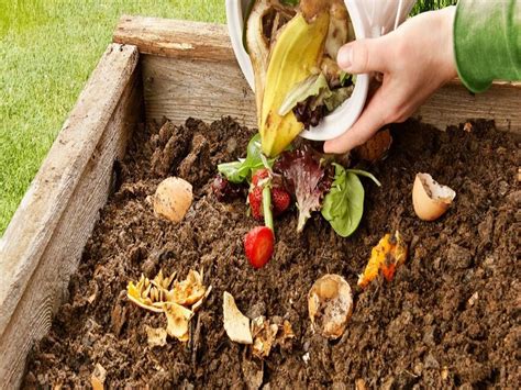 Different Types of Compost and How They Benefit the Plants