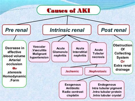 Image result for azotemia prerenal postrenal | Internado