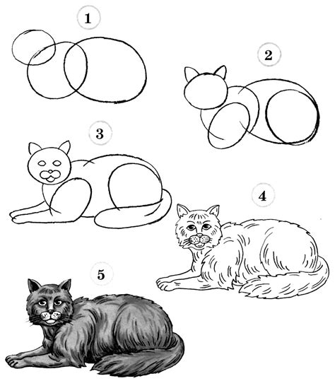 14+ Cat Drawing Step By Step Tutorial - Aleya Wallpaper