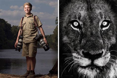 Steve Irwin's Son Is Already An Award-Winning Photographer, And His Photos Speak For Themselves ...