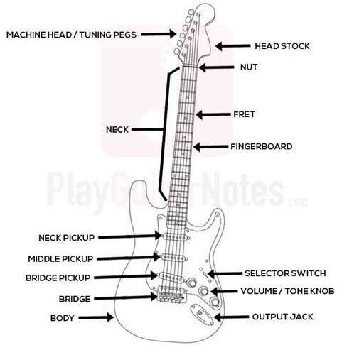 Electric Guitar Bridge Parts Names | Guitar Information