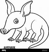 Coloring Book For Children Aardvark Stock Vector Image & Art  Alamy sketch template