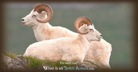 Ram Symbolism & Meaning | Spirit, Totem & Power Animal