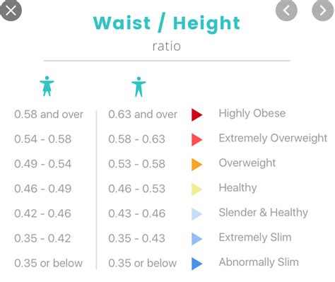 Waist to Height Ratio Calculator / WHtR Calculator - Calculator Academy