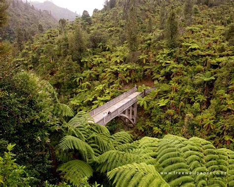 Bridge-to-Nowhere | envirohistory NZ