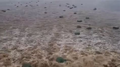 Moment dozens of bales swept into loch as severe floods batter Scotland ...