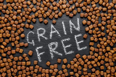 The Best Grain-Free Dog Food: Our Top 8 Picks Reviewed - Veterinarians.org