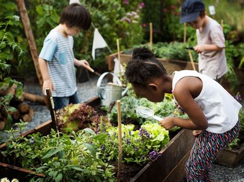 5 Ways To Teach Your Child To Love the Environment