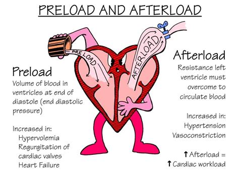 Nursing Tips: Preload vs Afterload - NCLEX Quiz