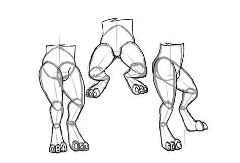 Digitigrade Legs Sketches by Lazsathel on DeviantArt