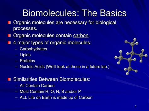 Biomolecules Diagram