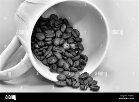 Coffee beans shot. Unground fresh coffee beans Stock Photo - Alamy