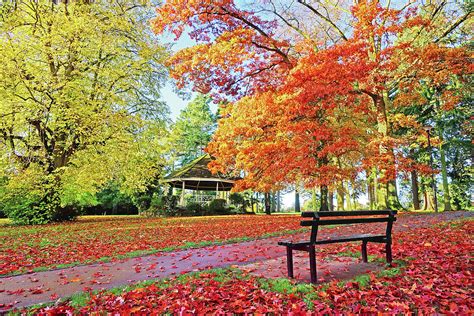 Autumn in the Cotswolds, Gloucestershire, UK Photograph by Peter Llewellyn