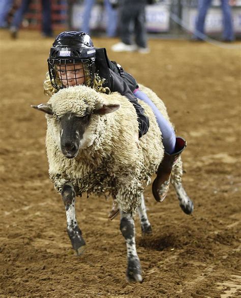 Rodeo offers fun for the kids