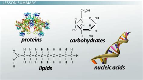 Molecules Definition, Types & Sizes - Lesson | Study.com