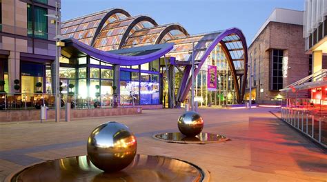 Sheffield Winter Garden in Sheffield City Centre | Expedia.co.uk