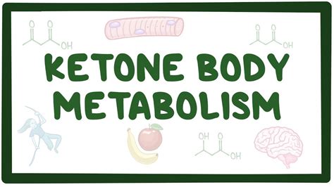 Ketone body metabolism: Video, Causes, & Meaning | Osmosis