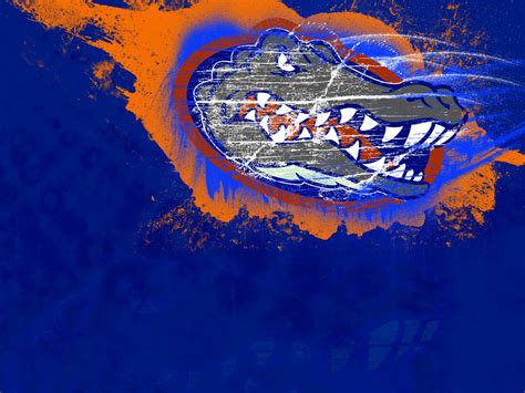 florida, Gators, College, Football Wallpapers HD / Desktop and Mobile Backgrounds