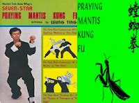 Learn Kung fu and chinese Martial Arts Training Techniques : 22 best praying mantis kung fu ...