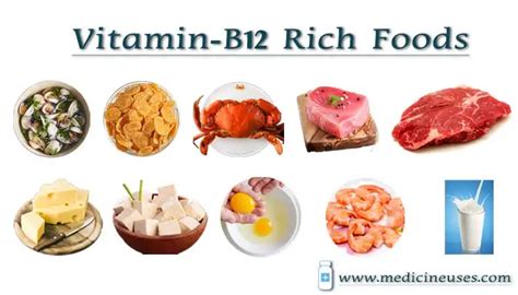 Top 10 Indian Foods Rich In Vitamin B12