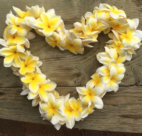 Lei Plumerias | Hawaiian Flowers